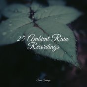 25 Ambient Rain Recordings