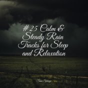 #25 Calm & Steady Rain Tracks for Sleep and Relaxation