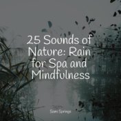 25 Sounds of Nature: Rain for Spa and Mindfulness