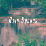 Rain Sounds