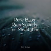 Pure Bliss Rain Sounds for Meditation