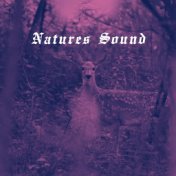 Natures Sound