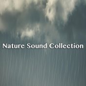 Nature Sound Collection