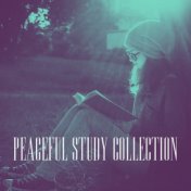 Peaceful Study Collection