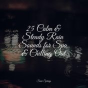 25 Calm & Steady Rain Sounds for Spa & Chilling Out