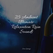 25 Ambient Ultimate Relaxation Rain Sounds