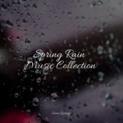 Spring Rain Music Collection