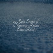 25 Rain Sounds of Nature to Reduce Stress Relief