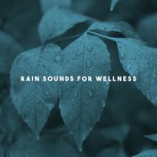 Rain Sounds for Wellness