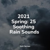 2021 Spring: 25 Soothing Rain Sounds