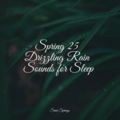 Spring 25 Drizzling Rain Sounds for Sleep