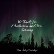 30 Tracks for Meditation and Spa Serenity
