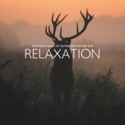 Soothing Music of Guitar and Nature for Relaxation