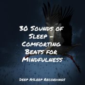 30 Sounds of Sleep - Comforting Beats for Mindfulness