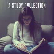 A Study Collection