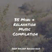 35 Mind & Relaxation Music Compilation