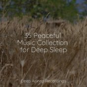 35 Peaceful Music Collection for Deep Sleep