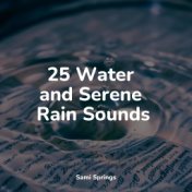 25 Water and Serene Rain Sounds