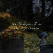 25 Meditative Rain Sounds for Serenity