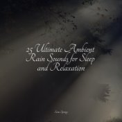 25 Ultimate Ambient Rain Sounds for Sleep and Relaxation