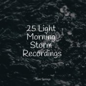 25 Light Morning Storm Recordings