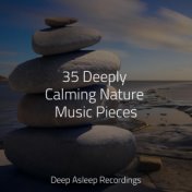 35 Deeply Calming Nature Music Pieces