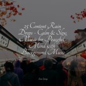 25 Content Rain Drops - Calm & Slow Music for Peaceful Mind with Background Music
