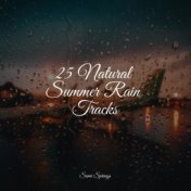 25 Natural Summer Rain Tracks