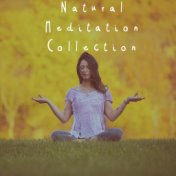 Natural Meditation Collection