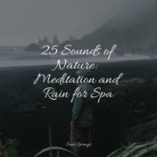 25 Sounds of Nature: Meditation and Rain for Spa