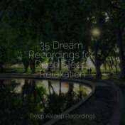 35 Dream Recordings for Deep Sleep Relaxation