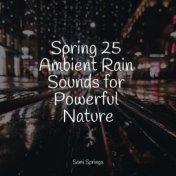 Spring 25 Ambient Rain Sounds for Powerful Nature