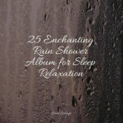 25 Enchanting Rain Shower Album for Sleep Relaxation