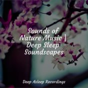 Sounds of Nature Music | Deep Sleep Soundscapes