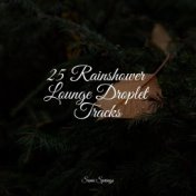 25 Rainshower Lounge Droplet Tracks