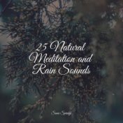 25 Natural Meditation and Rain Sounds