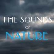 The Sounds of Nature