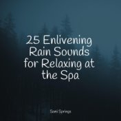 25 Enlivening Rain Sounds for Relaxing at the Spa