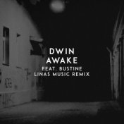 Awake (Linas Music Remix)
