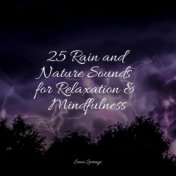 25 Rain and Nature Sounds for Relaxation & Mindfulness