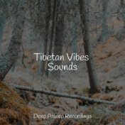 Tibetan Vibes Sounds