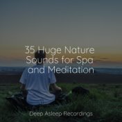 35 Huge Nature Sounds for Spa and Meditation