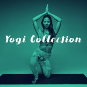 Yogi Collection