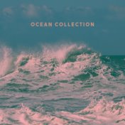 Ocean Collection