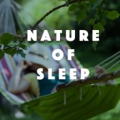 Nature of Sleep