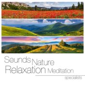 Sounds of Nature White Noise Relaxation Meditation Specialists