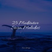 25 Meditative Storm Melodies