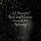 25 Peaceful Rain and Nature Sounds for Relaxing