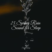 25 Spring Rain Sound for Sleep