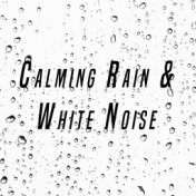 Calming Rain & White Noise